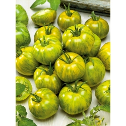Tomat 'Smarald' - roheline, sebramustriline