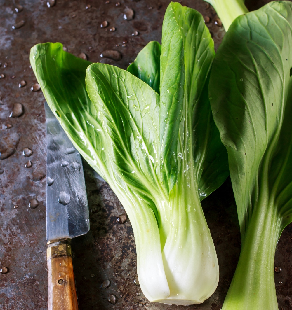 Chinese Cabbage Pak Choi seeds Brassica chinensis 500 seeds