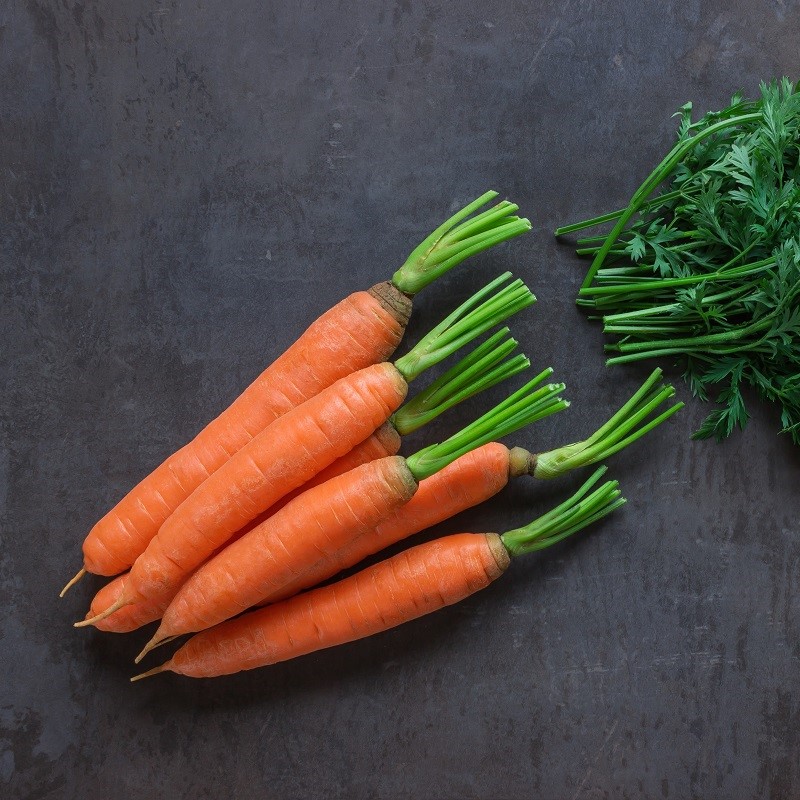 early variety seeds SEED TAPE Carrot /"Amsterdamska/"