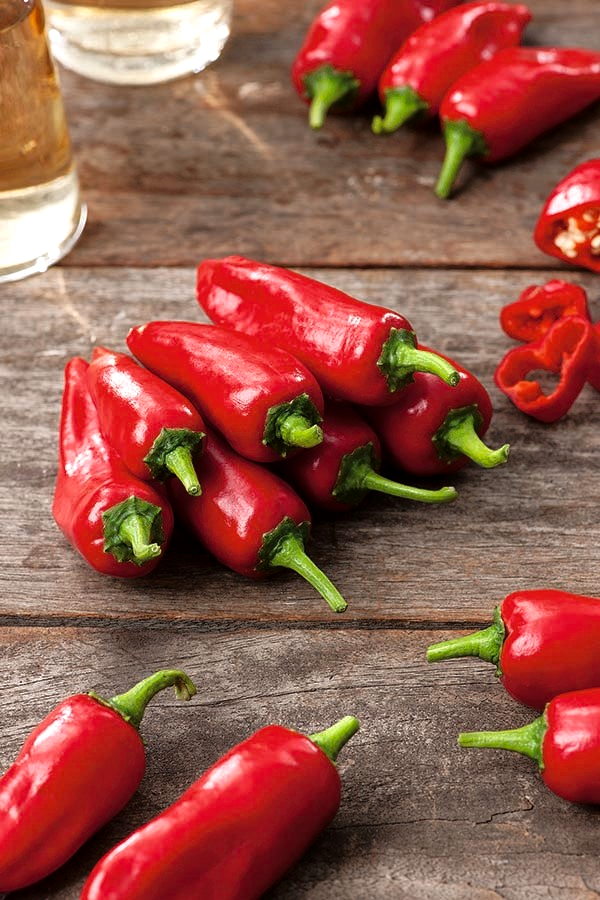 Jalapeno pepper red, very hot variety 85 seeds Garden Seeds Market Free shipping