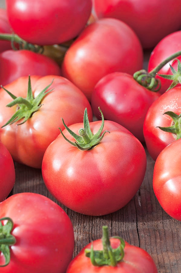 Piatto BLW Jané Con Ventosa - Silicone 100%, Senza BPA, Con Scomparti, Verde - Foto 7