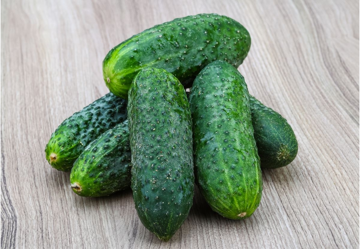 Cucamber "Cornichon de Paris" ideal for pickles 70 seeds Garden