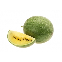 Míchaná semena melounu - Citrullus lanatus - 25 semen