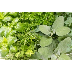 Aromatic Kitchen – Herb mix