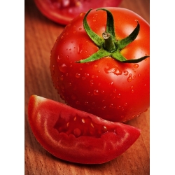 Tomato Baron seeds - Lycopersicon esculentum - 35 seeds