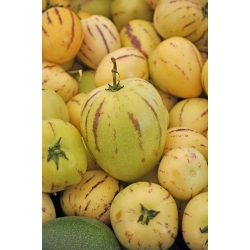 Tojásdinnye - 11 magok - Solanum muricatum