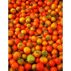Pomidoras - Tigerella - 80 sėklos - Lycopersicon esculentum Mill