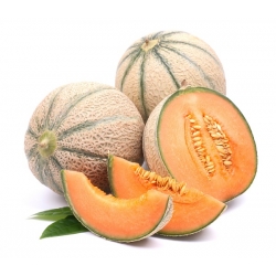 Melon - Malaga F1 - Cucumis melo L. - seemned