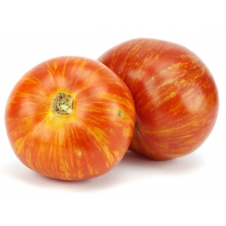 Tomate - Tigerella - 80 semillas - Lycopersicon esculentum Mill