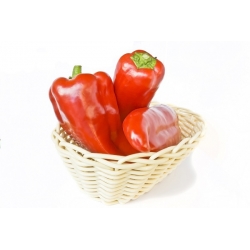 辣椒Rokita种子 - 辣椒 -  68种子 - Capsicum L. - 種子