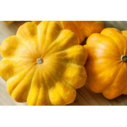 Semillas de Patty Pan Squash amarillas - Cucurbita pepo - 28 semillas - Cucurbita pepo var. pattisonina ‘Orange'