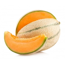 Melone - Malaga F1 - Cucumis melo L. - sēklas