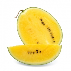 Žltý melón Janosik semená - Citrullus lanatus - 14 semien