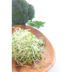 Germogli di broccoli - Brassica oleracea - semi