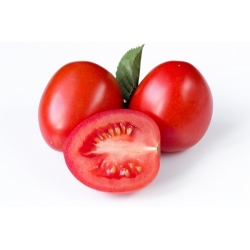 Насіння томатів Kmicic - Lycopersicon esculentum - 500 насінин - Solanum lycopersicum  - насіння