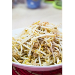 Sprouts voor Chinese keuken Mix -  - zaden