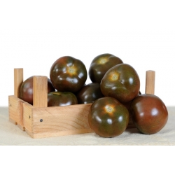 Tomato Black Cherry semená - Lycopersicon esculentum - 60 semien - Lycopersicon esculentum Mill 