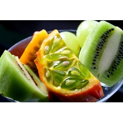 Kiwano, Horned Melon seemned - Cucumis metuliferus - 30 seemnet