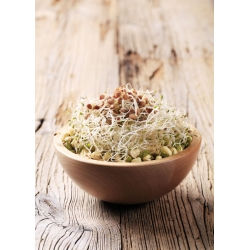 Sprouts voor Chinese keuken Mix -  - zaden