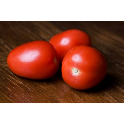 Tomat - Kmicic - 500 seemned - Solanum lycopersicum
