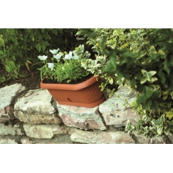 Long flower pot - Terra - 26,5 cm - Terracotta