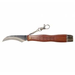 Folding mushroom picker knife with a measure and brush - 21 cm