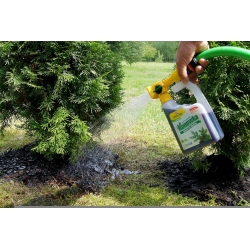 Fertilizante para coníferas - Igłovit - regadera lista para usar - Zielony Dom® - 950 ml - 