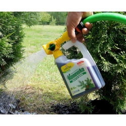 Fertilizzante per conifere - Igłovit - annaffiatoio pronto per l&#39;uso - Zielony Dom® - 950 ml - 