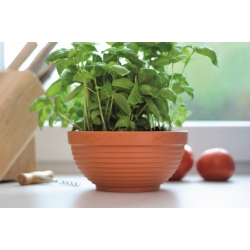 Round flower pot, bowl - Misa - 15 cm - Terracotta