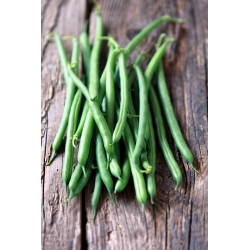 Dwarf French Bean Cropper Teepee seeds - Phaseolus vulgaris - 120 seeds