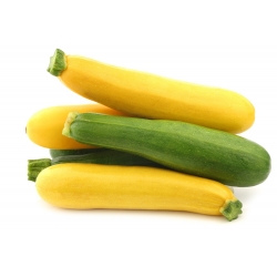 Courgette, Zucchini - a selection of varieties - Cucurbita pepo - 14 seeds