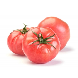 بذور فورة الطماطم - ليكوبسيريكون إسكولنتوم - 263 بذرة - Lycopersicon esculentum Mill  - ابذرة