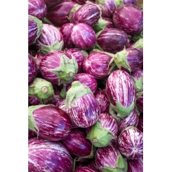Aubergine, terung "Tsakoniki" - pelbagai ungu putih - 220 biji - Solanum melongena - benih