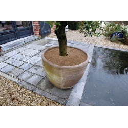 Tapete de proteção contra congelamento das raízes de fibra de coco - ø 30 cm - 3 peças - 