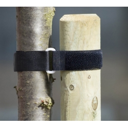 Gravata / faixa de árvore 40 x 2,5 cm - 2 peças - 