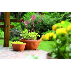 Outdoor flower pot, low - Terra - 20 cm - Terracotta