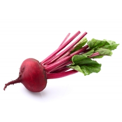 Beetroot "Egyptian" - 500 seeds