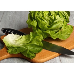 Lettuce May Queen seeds - Lactuta sativa - 1050 seeds