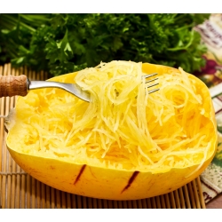 Spaghetti Squash ‘Warsaw Spaghetti’ seeds - Cucurbita pepo - 40 seeds 