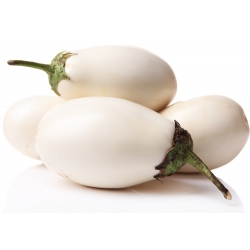 بذور "البيض الذهبي" الباذنجان - Solanum melongena - 25 بذور - ابذرة