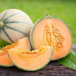 Melone Malaga F1 Samen - Cucumis melo - 26 Samen