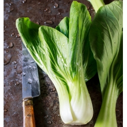 大白菜白菜种子 - 小白菜 -  500粒种子 - Brassica rapa subsp. chinensis - 種子