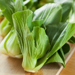 Chinese Cabbage Pak Choi seeds - Brassica chinensis - 500 seeds