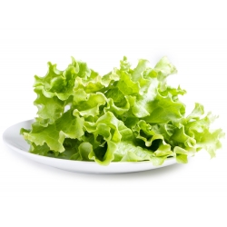 Kerti saláta - Lollo Bionda - 1200 magok - Lactuca Sativa L. var. capitata