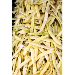 Daržinė pupelė - Supernano Giallo - 25 sėklos - Phaseolus vulgaris L.