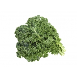 Kale "Halbhoher gr - 300 hạt - Brassica oleracea L. var. sabellica L.