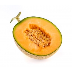 Melon - Emir F1 - 18 graines - Cucumis melo L.