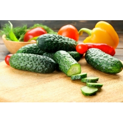 Cucumber "Andrus" - for pickles - 175 seeds