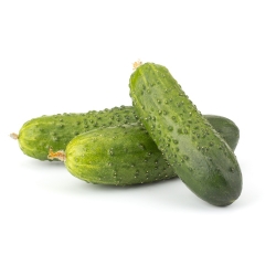 Cucumber "Bolko" - for pickles - 175 seeds