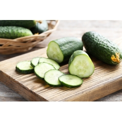 Cucumber "Kmicic" - pickling, bitterness-free variety - 105 seeds